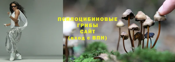 первитин Алексеевка
