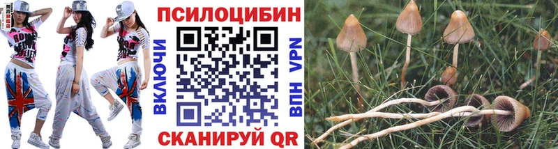 omg зеркало  Ейск  Галлюциногенные грибы мухоморы 
