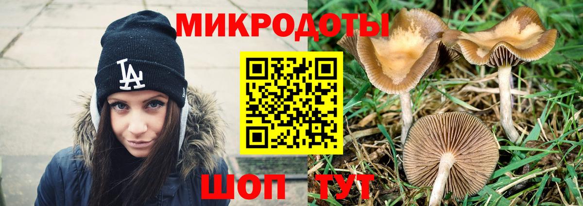 Ейск  где купить наркотик  Вход с VPN  Псилоцибиновые грибы прущие грибы 